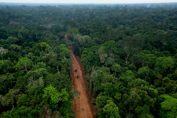 Secret oil access road within Yasuní's Block 31