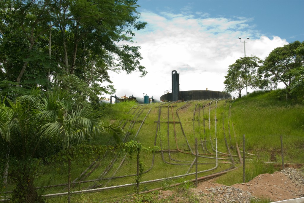0054742_imgp7999